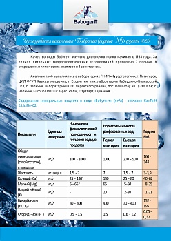 Вода "Бабугент" (BabugenT) 0.65л без/газ пэт (12 шт/уп)